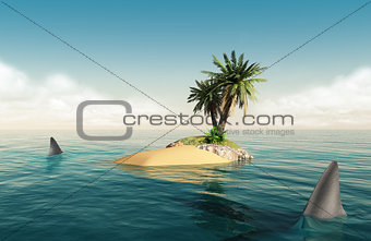 Small island with sharks