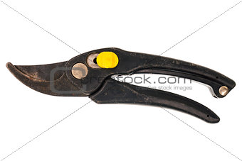 An old garden scissors 