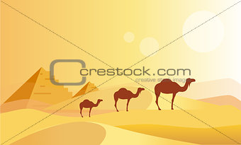 Camel Caravan And Pyramides