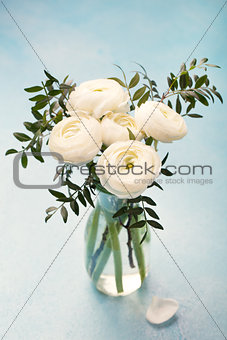 White ranunculus flowers in vase Blue background