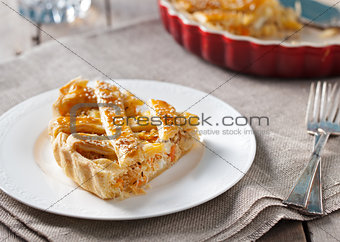 Cabbage pie on a white plate Grey textile background.