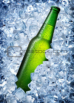 Green bottle in ice