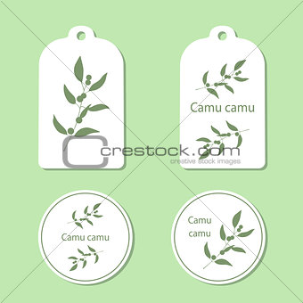 Camu camu leaves and berries