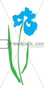Vector Iris Flower