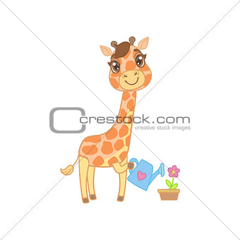 Giraffe Watering The Flowers