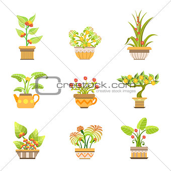 Flowers In Pots Set