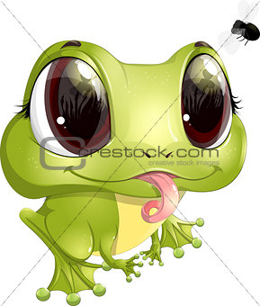 beautiful frog with big eyes