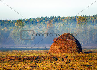 The haystack in the autumn forest.