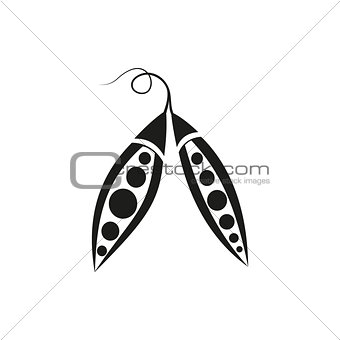 Vector illustration of pea, peas, vetch, pea-coal isolated on white background