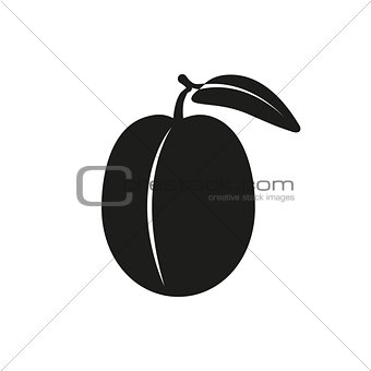Vector illustration of Plum isolated on white background