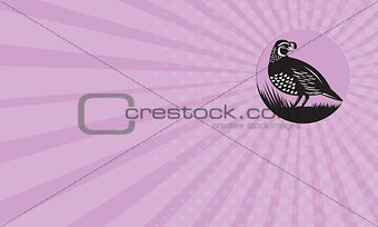 Business card California Valley Quail Bird Circle Retro