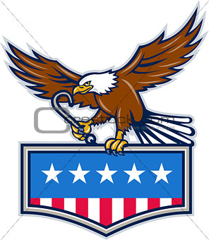 American Eagle Towing J Hook USA Flag Retro