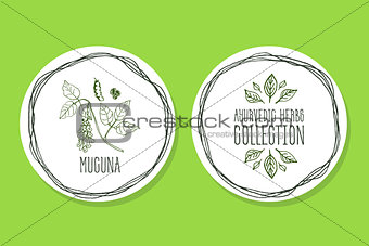Ayurvedic Herb - Product Label with Mucuna