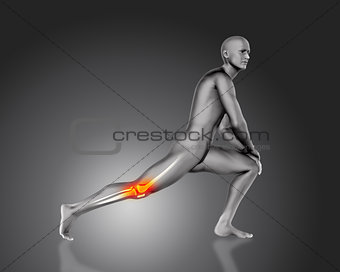 3D male figure in stretching pose with knee bone highlighted