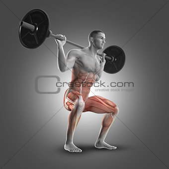 3D male figure in barbell squat