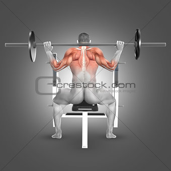 3D male figure in seated barbell press behind neck