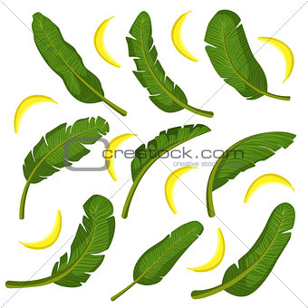 Tropical Leaves  With Bananas