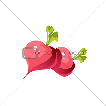 Turnip Bright Color Simple Illustration