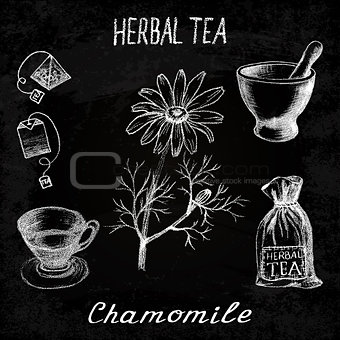 Chamomile herbal tea. Chalk board set of vector elements