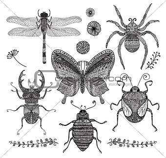 Vector Collection of Black Hand Drawn Doodle Insects