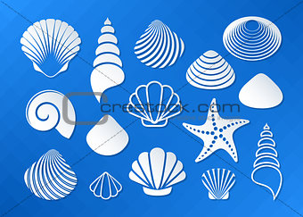 White sea shells and starfish icons