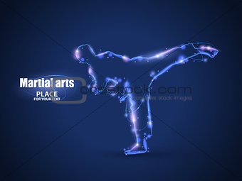 Motion design. Silhouette of a karateka doing standing side kick. Blur and light isolated on black background. Vector illustration