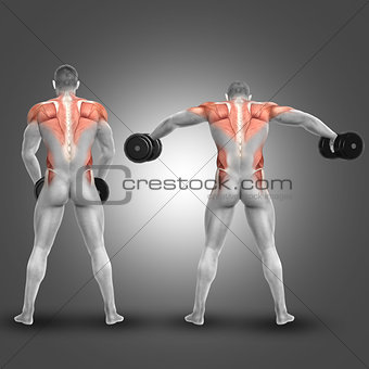 3D male figure doing dumbbell standing lateral raise