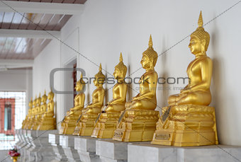 Row of golden buddha statue