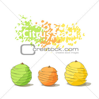Stack of citrus sliced fruits