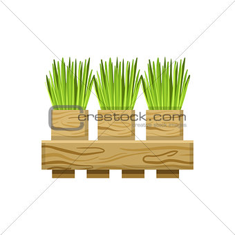 Green Onions In Crate