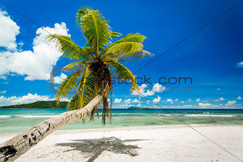 Beautiful beach in Seychelles