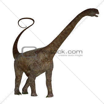 Malawisaurus Dinosaur on White