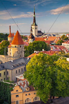 Tallinn.