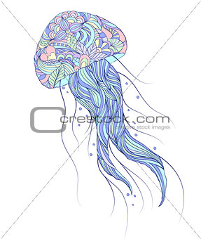 jellyfish on white background