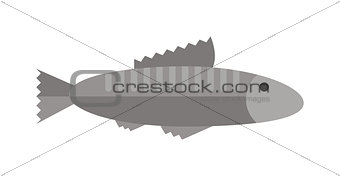 Fish vector illustration.