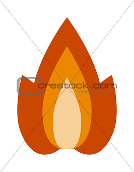 Fire flame vector illustration.