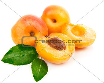 Fresh apricots in section with green leaves