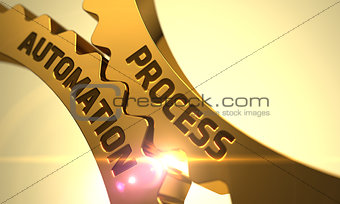 Process Automation on Golden Cog Gears.