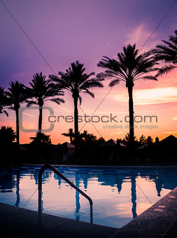 Sunset over pool with palm trees in silhouette against serene beautiful summers evening sky.