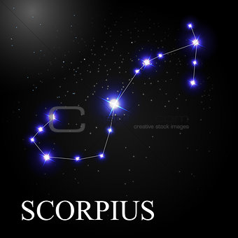 Scorpius Zodiac Sign with Beautiful Bright Stars on the Backgrou
