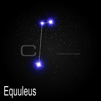 Equuleus Constellation with Beautiful Bright Stars on the Backgr