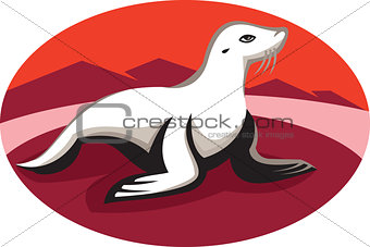 New Zealand Fur Seal Retro