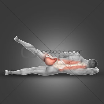 3D male figure in side lying hip abduction pose