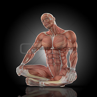 3D render of a medical figure with muscle map doing neck stretch
