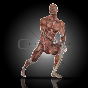 3D render of a medical figure with muscle map doing stretches