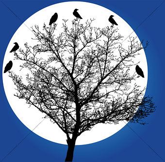 tree crows