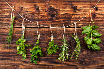 Culinary herbs.