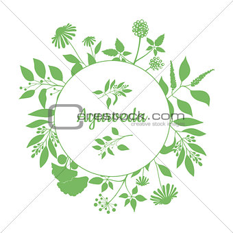 Green round frame with collection of plants. Silhouette of branches isolated on white background
