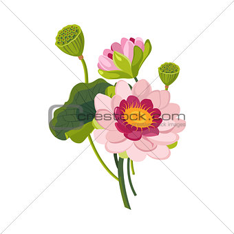 Pink Garden Flower Hand Drawn Realistic Illustration