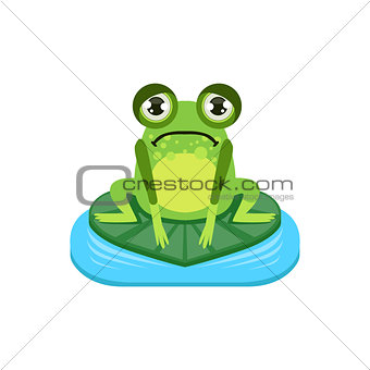 Upset Cartoon Frog Character